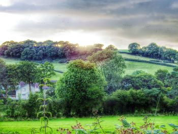 Scenic view of grassy field against cloudy sky