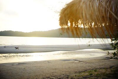 People on beach