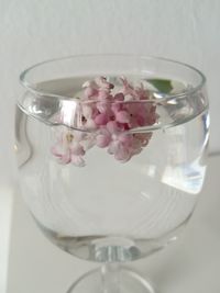 Close-up of pink flower in glass on table