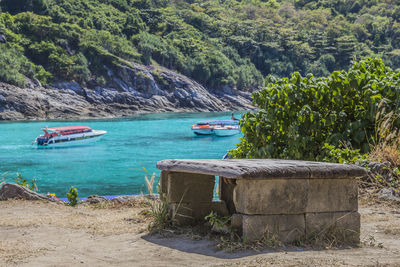 Scenic view of sea against trees