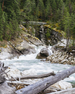 Scenic view of waterfall in forest