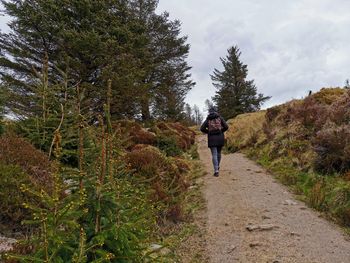 Rear view of person walking on footpath amidst trees