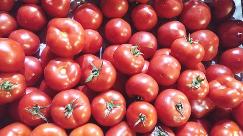 Full frame shot of tomatoes