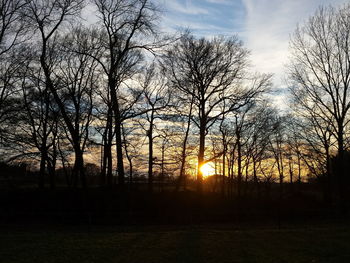 Silhouette trees against sky during sunset