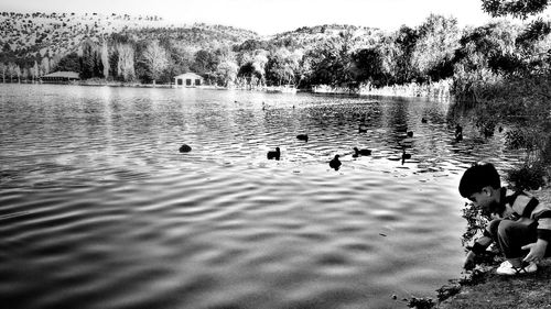 View of ducks swimming in lake