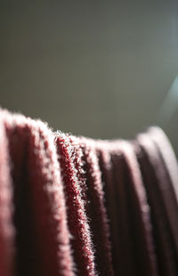 Low section of woman