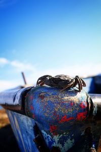 Close-up of rusty metal against blue sky