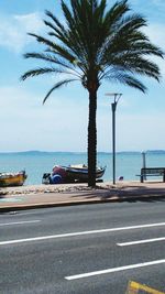 Palm trees at seaside