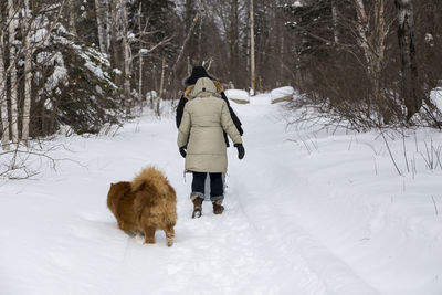 Rear view of orange chow chow following two people dressed in winter clothes walking in fresh snow