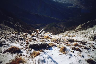Snow covered mountain