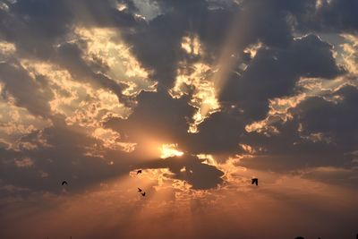 Low angle view of silhouette birds flying in sky