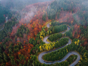 High angle view of road amidst trees in forest