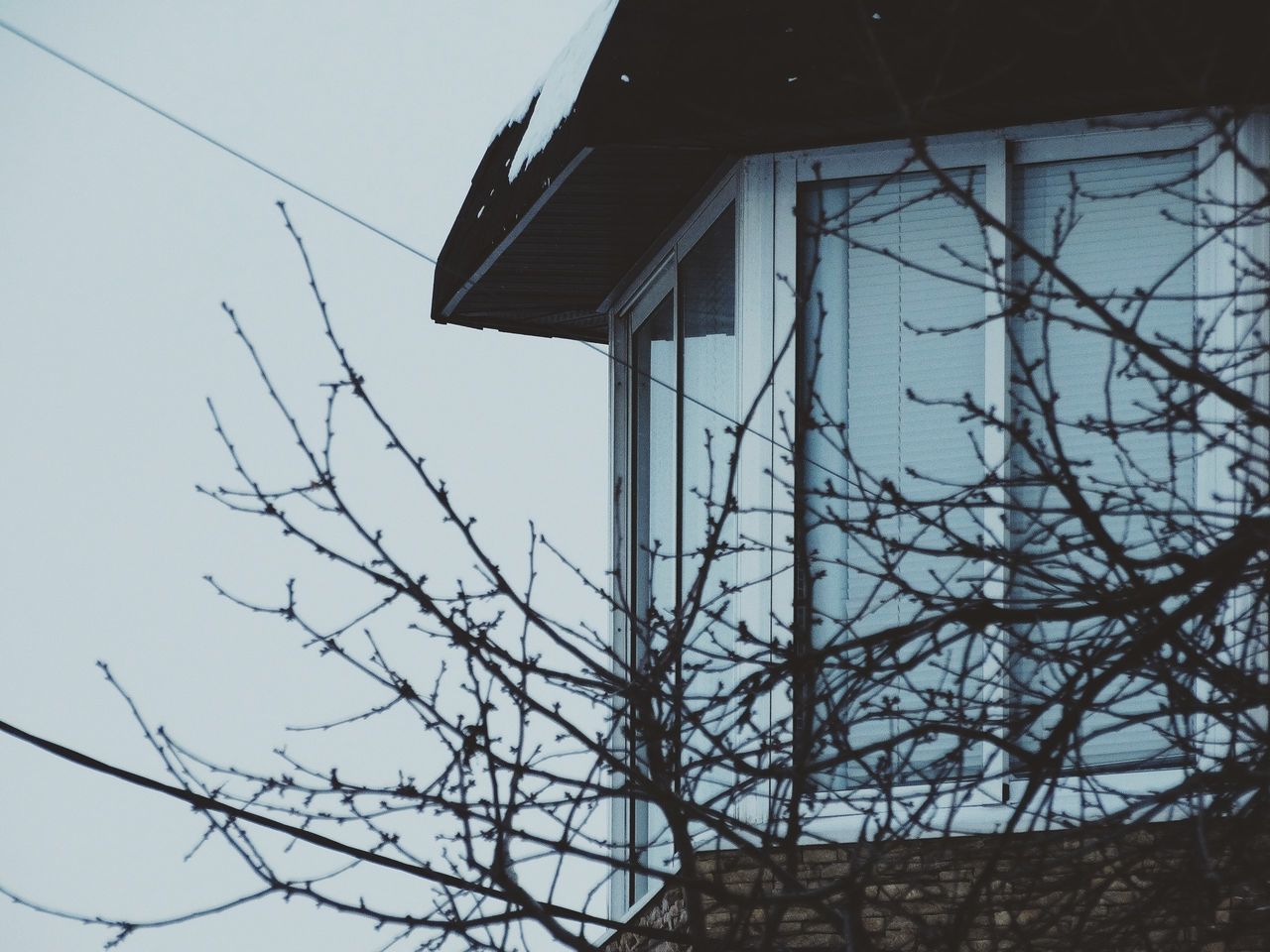 low angle view, tree, bare tree, sky, no people, branch, outdoors, nature, day, building exterior, winter, architecture