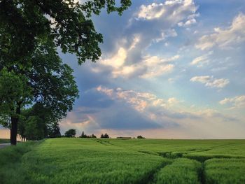 Scenic view of grassy field against cloudy sky