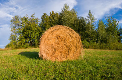 Hay bales on field against sky