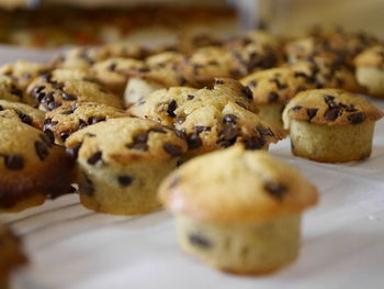 Close-up of cookies