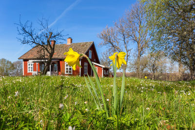 Yellow house on field by buildings against sky