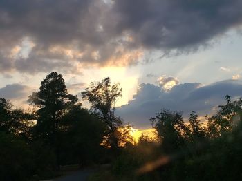 Low angle view of silhouette trees against sky during sunset