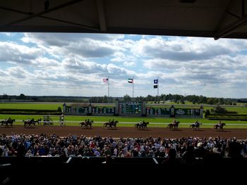 People on grassy field