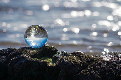 Close-up of crystal ball on rock