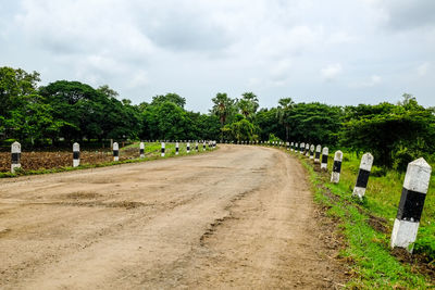 Panoramic shot of road amidst trees against sky