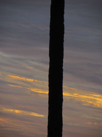 Low angle view of silhouette tree against sky during sunset