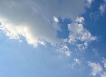 Low angle view of birds flying in sky