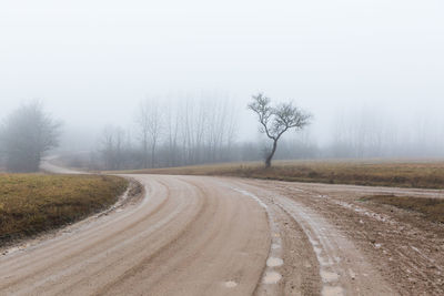 Road amidst trees against sky during foggy weather