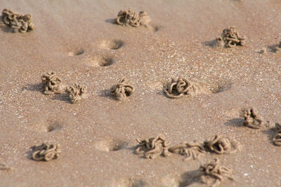 High angle view of holes in sand at beach