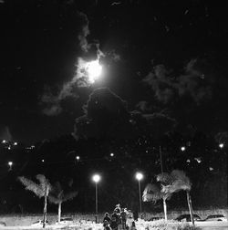 Illuminated street light and trees against sky at night