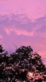 Silhouette of tree against dramatic sky