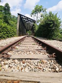 Surface level of railroad tracks against trees