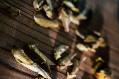 High angle view of bananas on wood