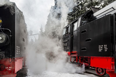 Train on railroad track amidst trees