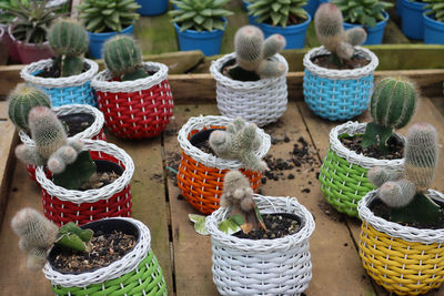 High angle view of potted plants at market stall