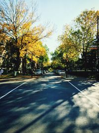 Road passing through trees