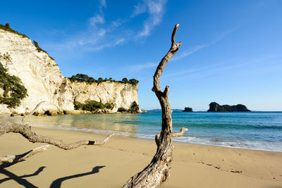 Scenic view of beach against sky