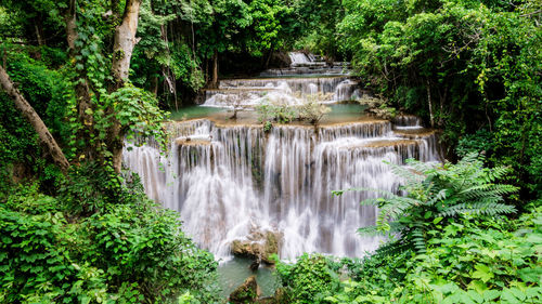Scenic view of waterfall in forest