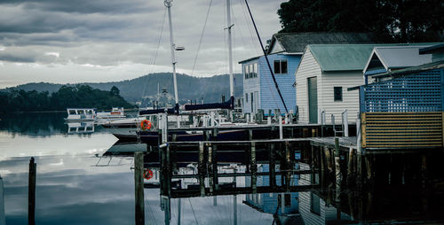 Sailboats moored at harbor against sky