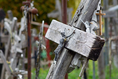 Close-up of rusty metal fence