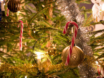 Close-up of illuminated christmas tree