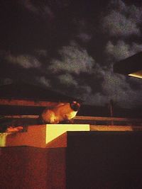 Illuminated lights at night