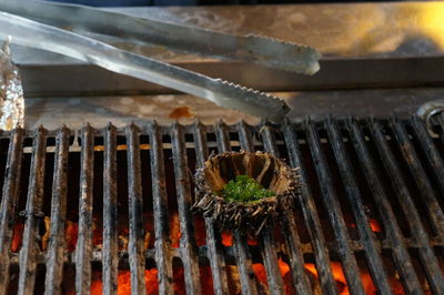 Close-up of succulent plant on barbecue grill