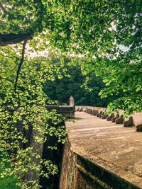 View of bridge in park