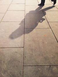 Shadow of tree on the wall