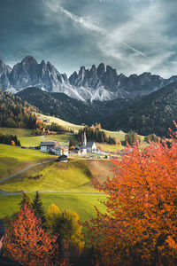Beautiful autumn colors at the foot of the odle mountains in the backdrop of the seceda mountains