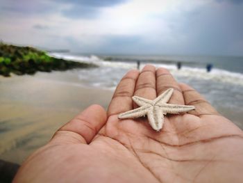 Close-up of human hand holding starfish at beach against sky