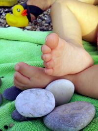 Close-up of a bird on hand
