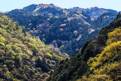 Scenic view of mountains