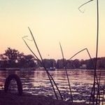 water, sunset, focus on foreground, tranquility, sky, lake, nature, clear sky, tranquil scene, beauty in nature, reflection, close-up, selective focus, scenics, silhouette, outdoors, river, transportation, dusk, drop